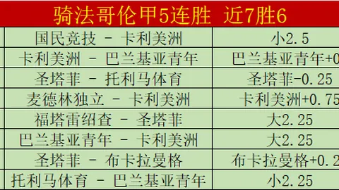 巴西地方当局调查美遣返移民疑涉人权违规行为